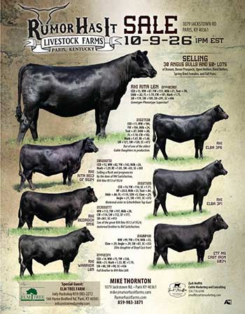 Fall 2026 Sale Flyer